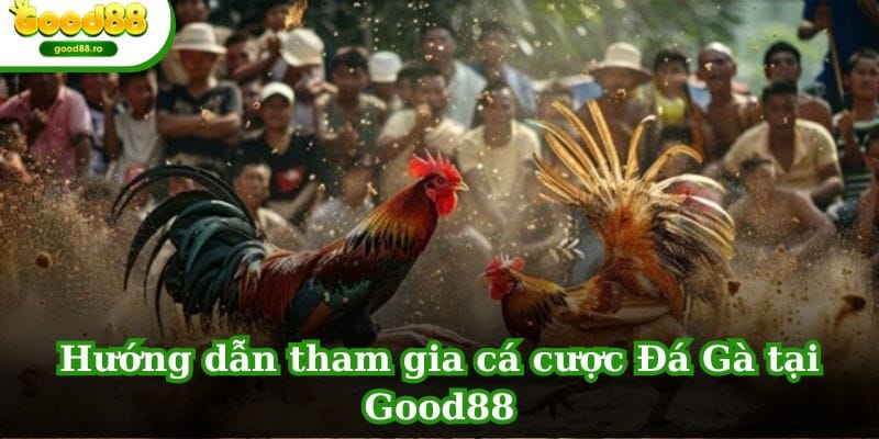 Hướng dẫn tham gia cá cược Đá Gà tại GOOD88