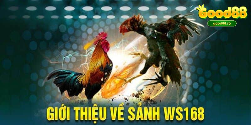 Đá gà WS168 - Sân Chơi Đẳng Cấp